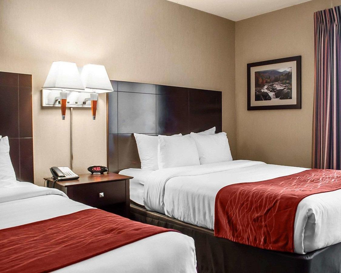 Comfort Inn & Suites Watertown - thumb 13