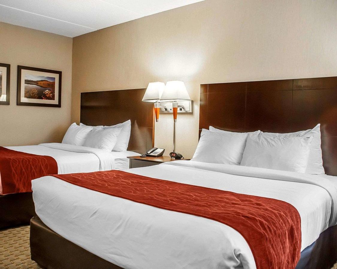 Comfort Inn & Suites Watertown - thumb 33