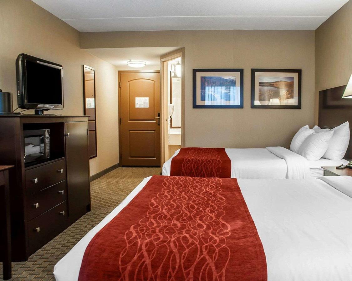 Comfort Inn & Suites Watertown - thumb 2