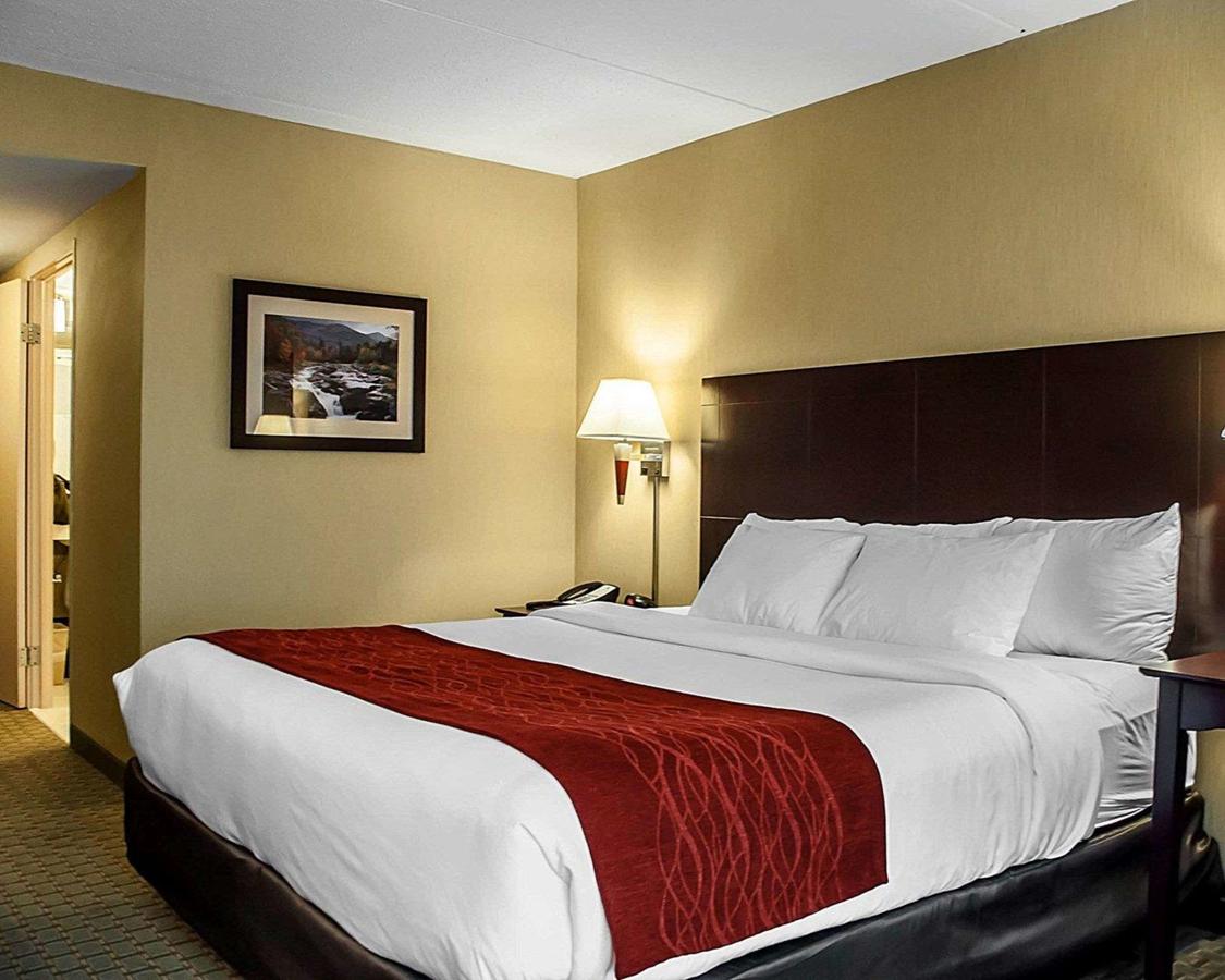 Comfort Inn & Suites Watertown - thumb 5
