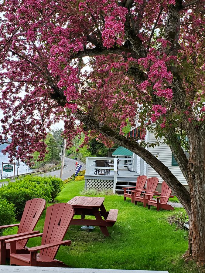 Lake View Motel - thumb 16