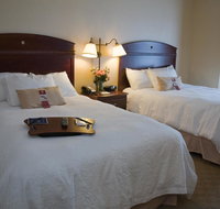 Hampton Inn Watertown - Accommodation Massachusetts