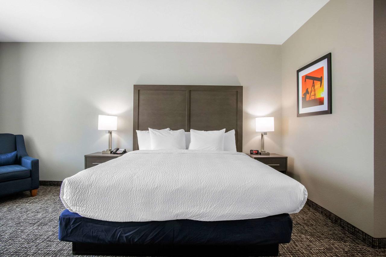 Comfort Inn & Suites Tulsa Catoosa - thumb 25
