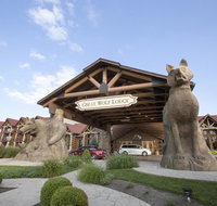 Great Wolf Lodge Williamsburg - Accommodation Massachusetts