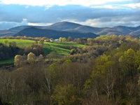 Booking Buena-vista Accommodation Massachusetts