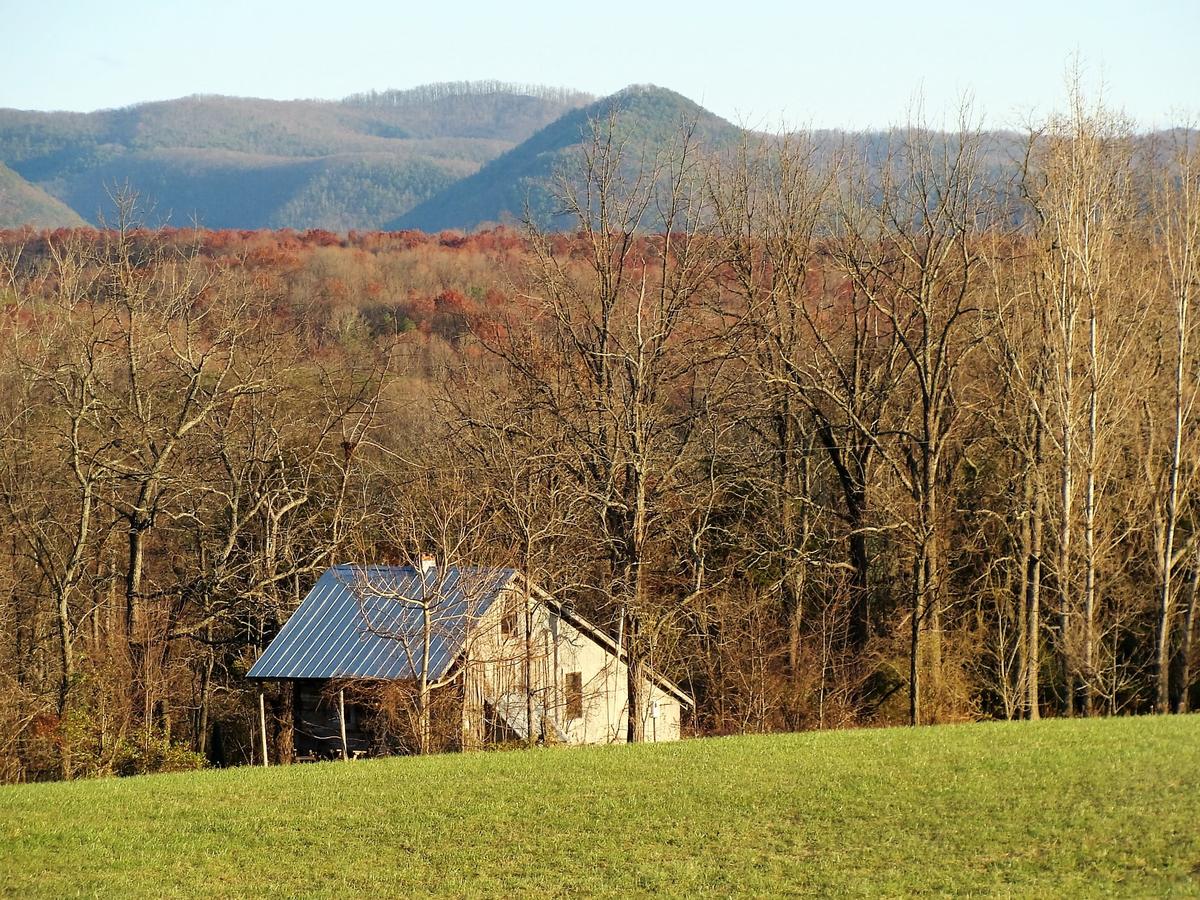 Writers Retreat Cabin - thumb 8