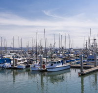  Marbella Lane Seaside Retreat Walk to the Beach - Accommodation Massachusetts