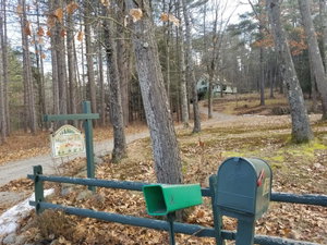 A Healing Forest Space In The Heart Of New England