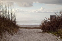 Bottoms' Up Beach Cottage Accommodation Massachusetts