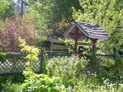 Castle Wood Theme Cottages- COUPLES ONLY