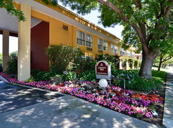 County Inn