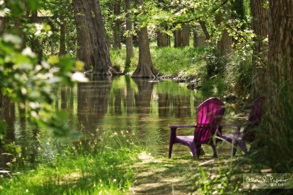 Cypress Creek House - thumb 1