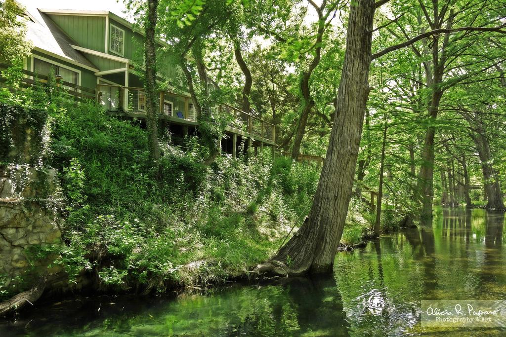 Cypress Creek House - thumb 2