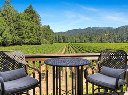 Melody Vineyard Cottage