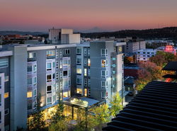 Staypineapple, Watertown, University District Seattle