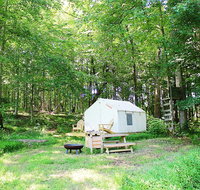 Tentrr - Birches Woodsy Glamping Retreat near Chincoteague Island - Accommodation Massachusetts