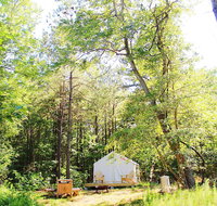 Tentrr - The Stand Woodsy Glamping Retreat Near Chincoteague Island - Accommodation Massachusetts