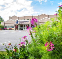 Wedgewood Resort - Accommodation Massachusetts