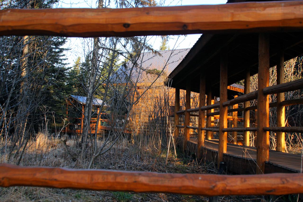 Wise Old Hunter Lodge - thumb 3