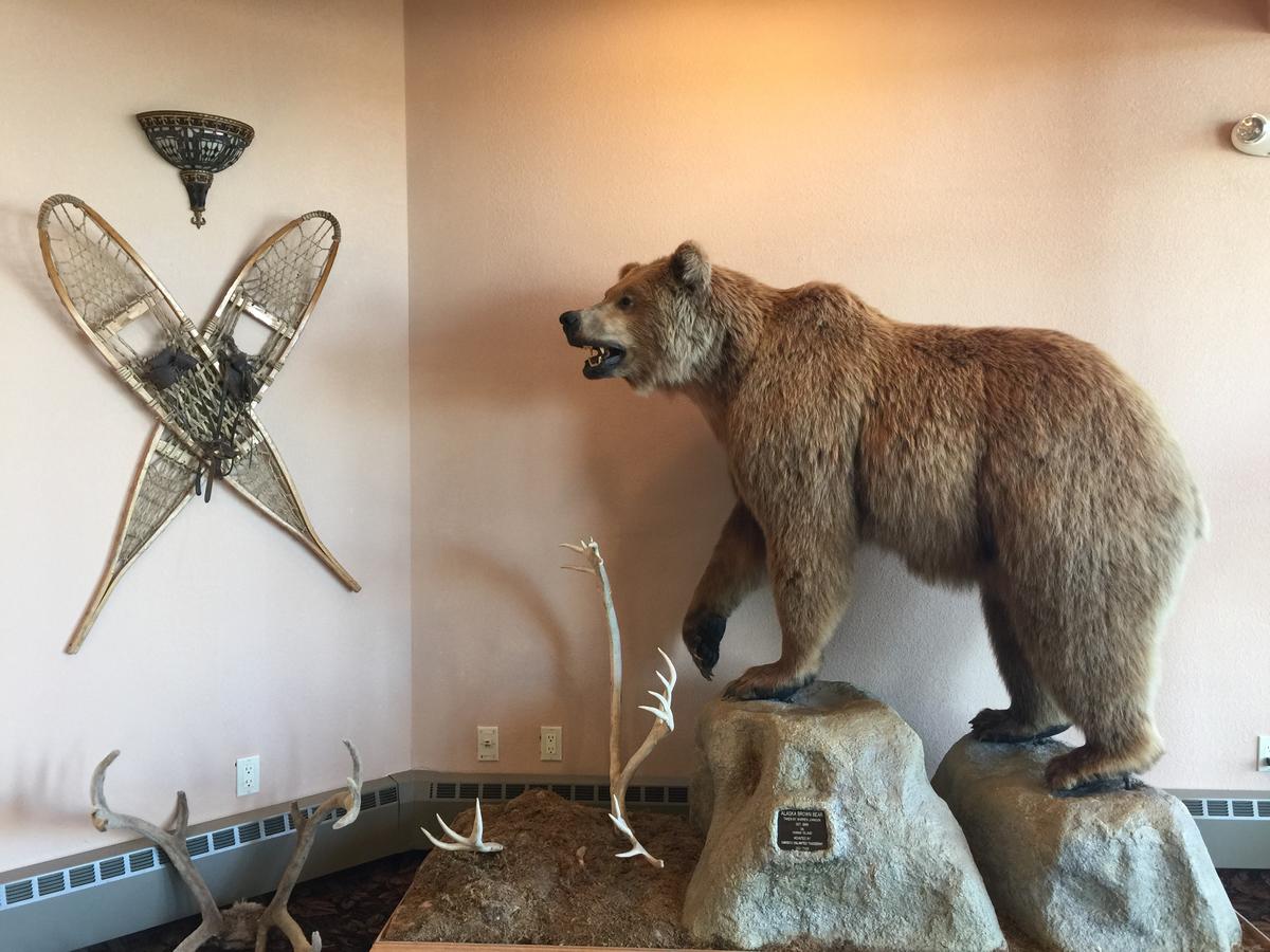 Kenai Airport Hotel - thumb 16