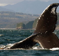 Kodiak Compass Suites - Accommodation Massachusetts