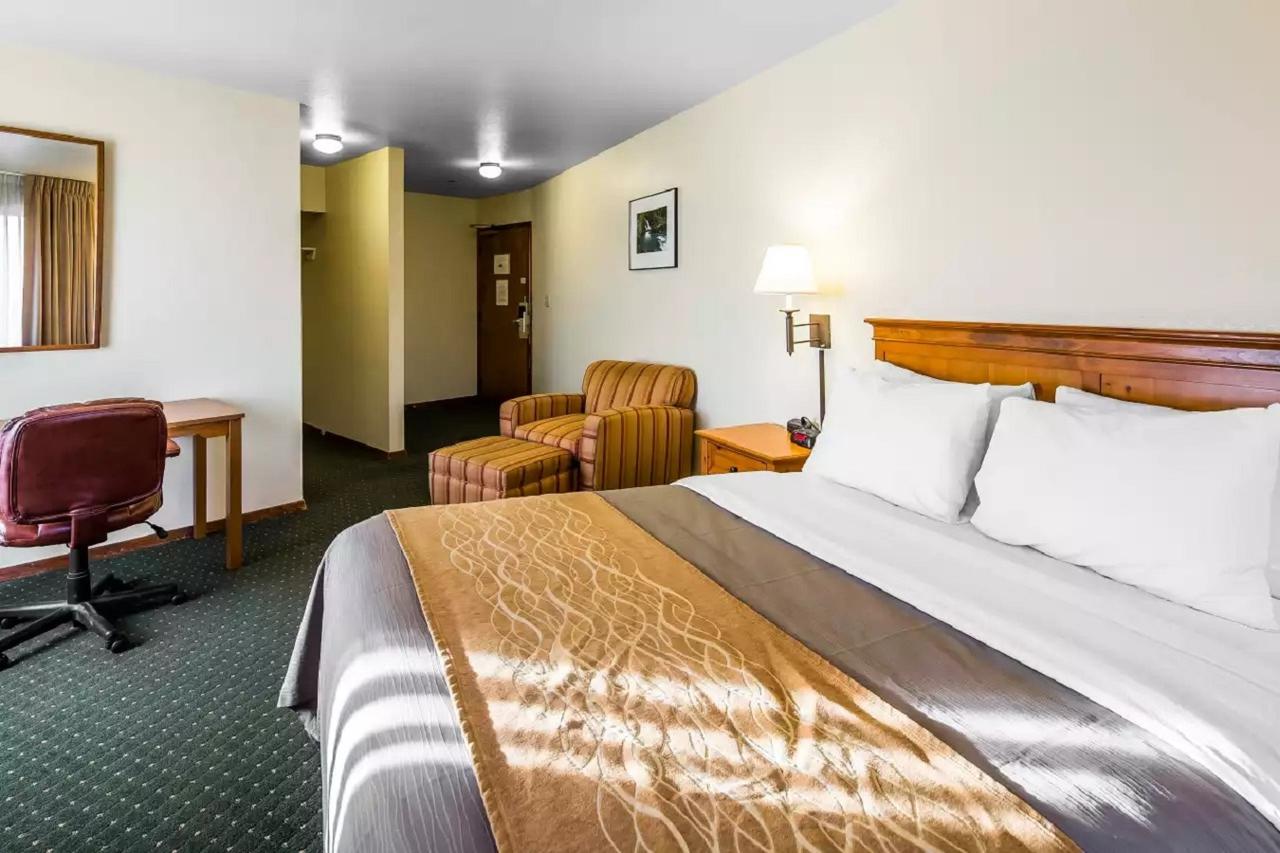 Quality Inn - thumb 24