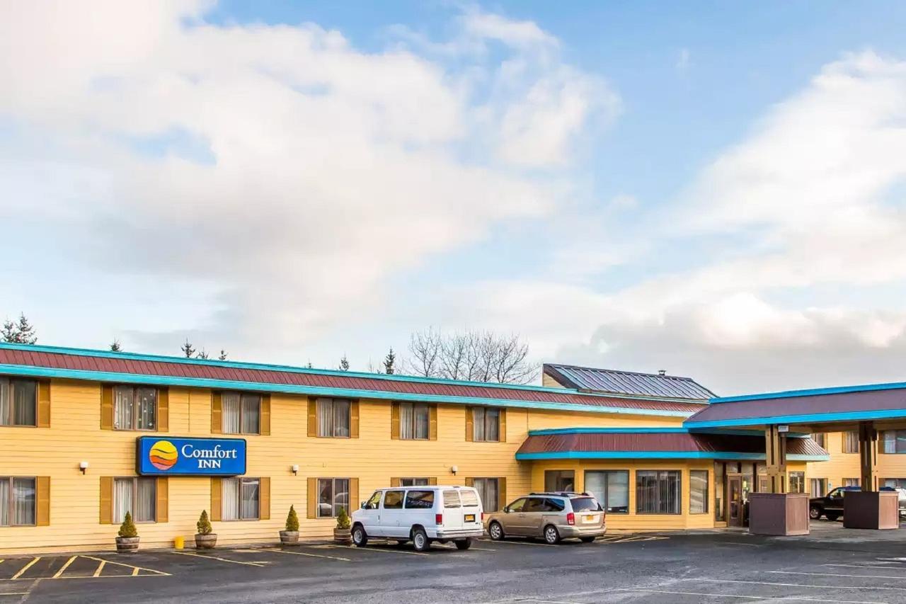 Quality Inn - thumb 28
