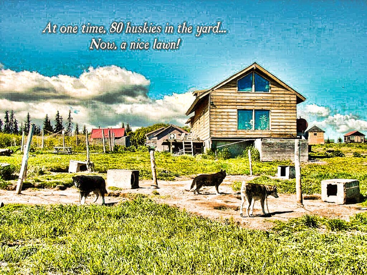 The Husky Ranch - thumb 16