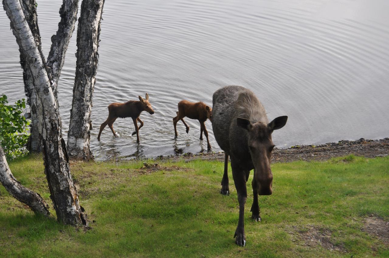 Daniels Lake Lodge Cabins - thumb 11