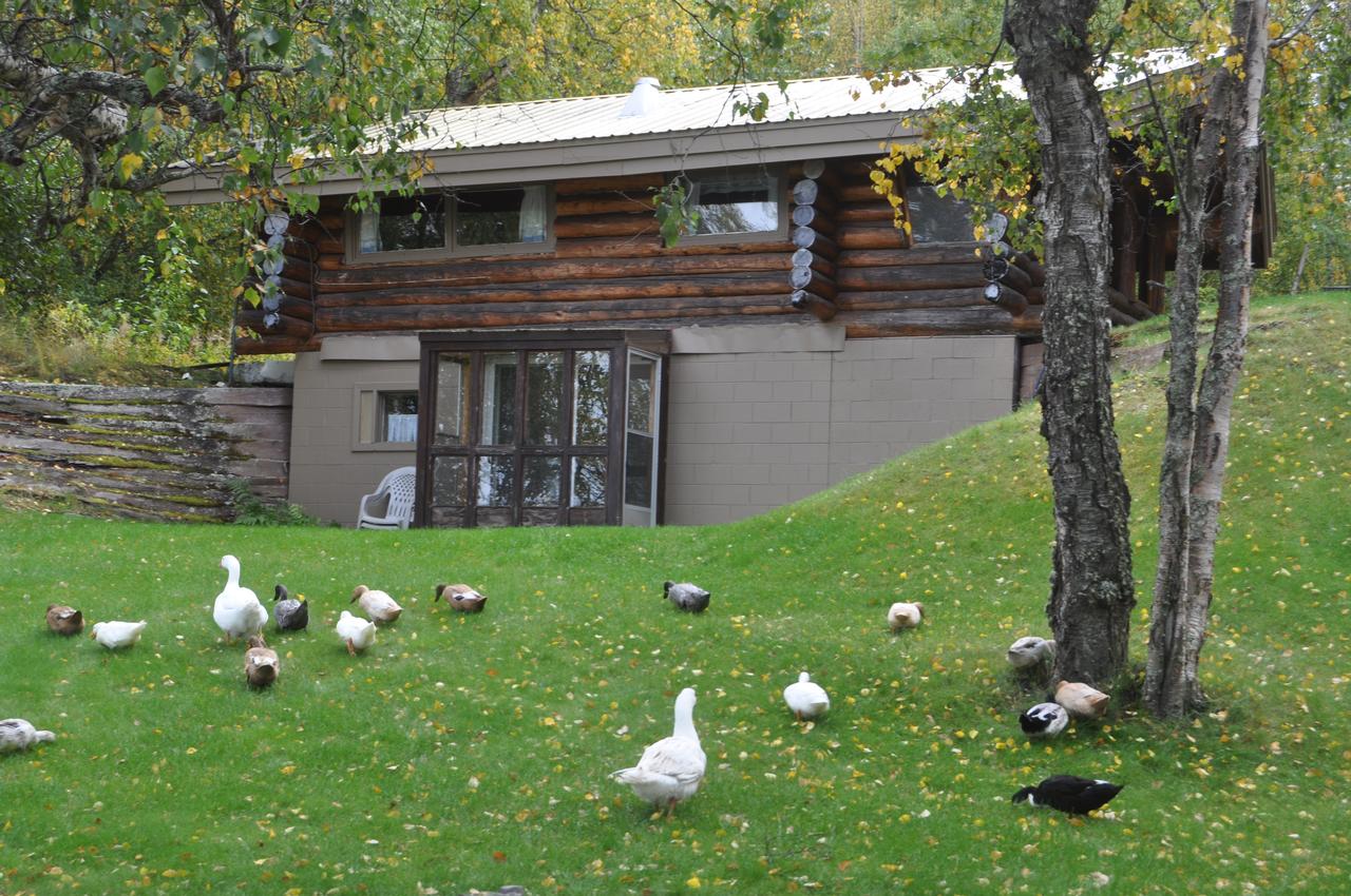 Daniels Lake Lodge Cabins - thumb 3