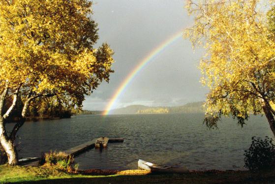 Daniels Lake Lodge Cabins - thumb 37