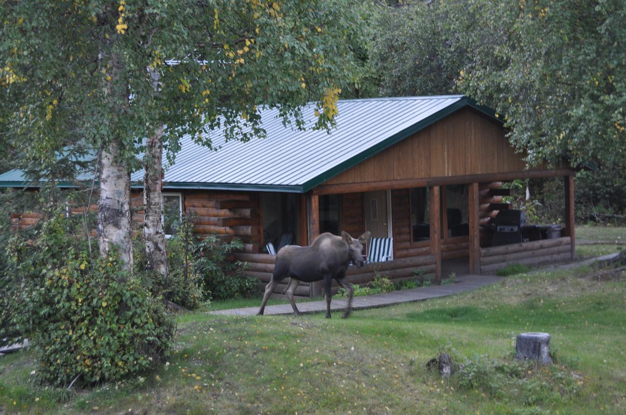 Daniels Lake Lodge Cabins - thumb 14