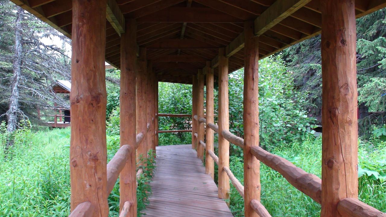 Moose Cabin - thumb 12