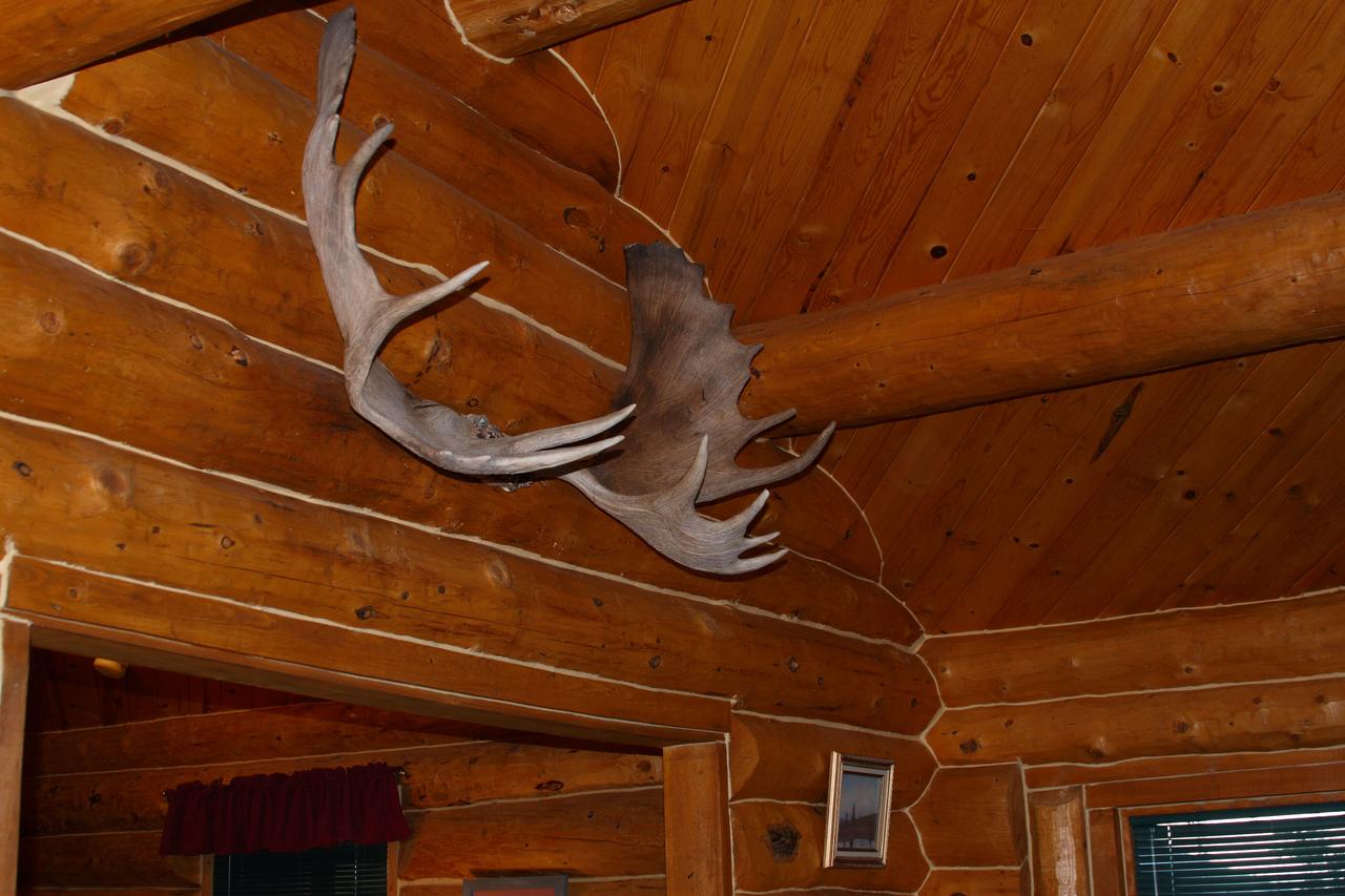Moose Cabin - thumb 13