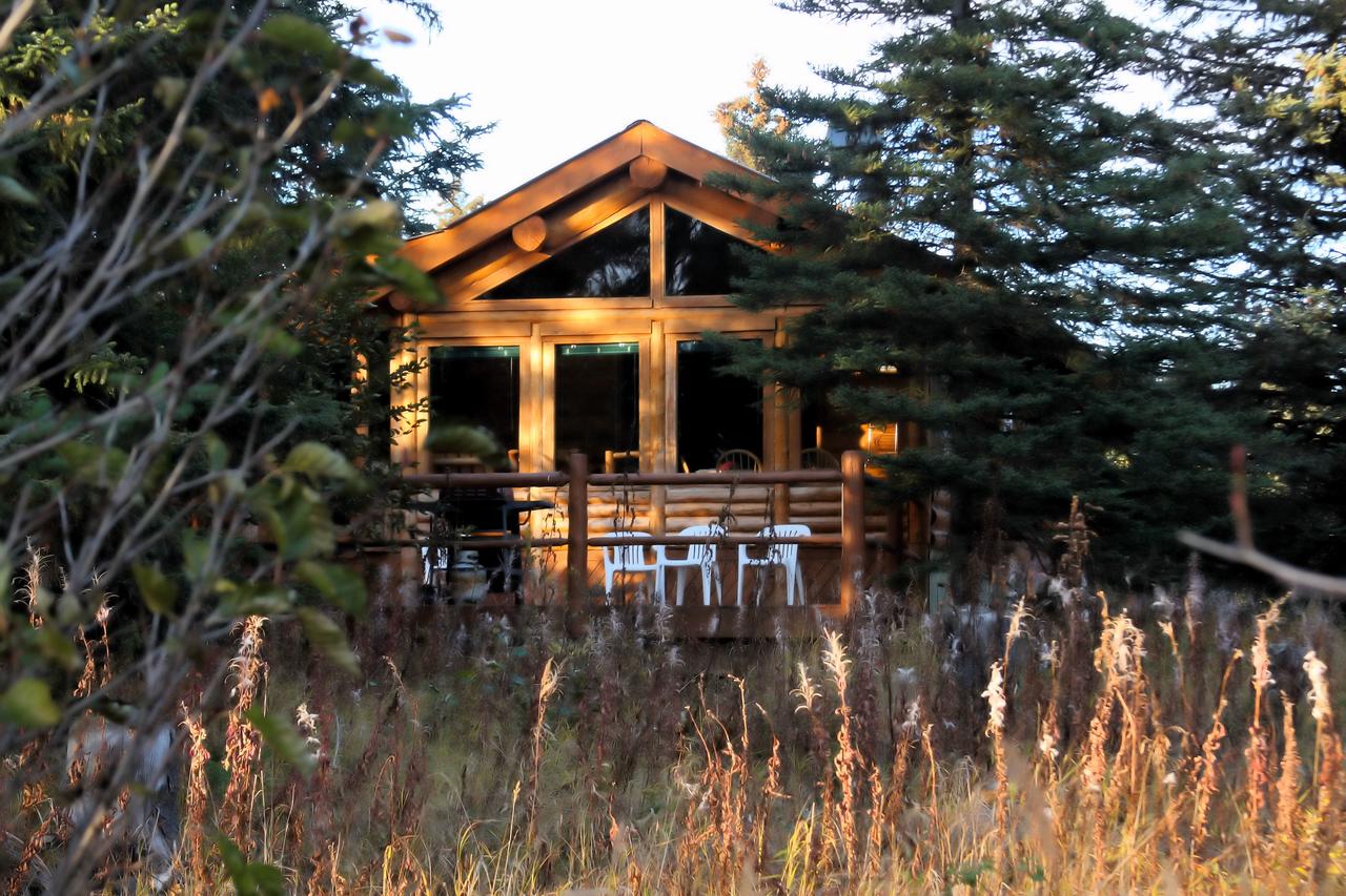 Moose Cabin - thumb 19