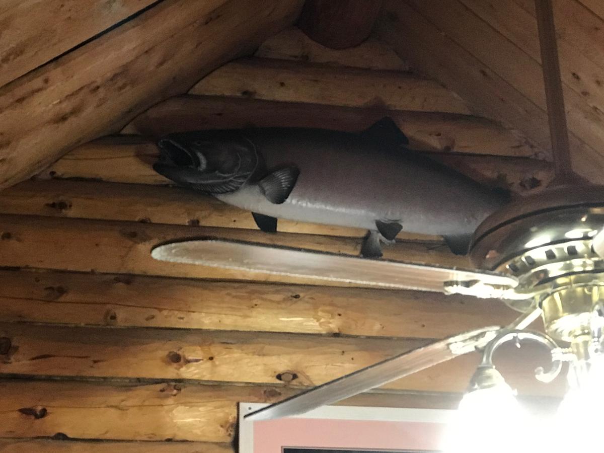 Foster's Alaska Cabins - thumb 34