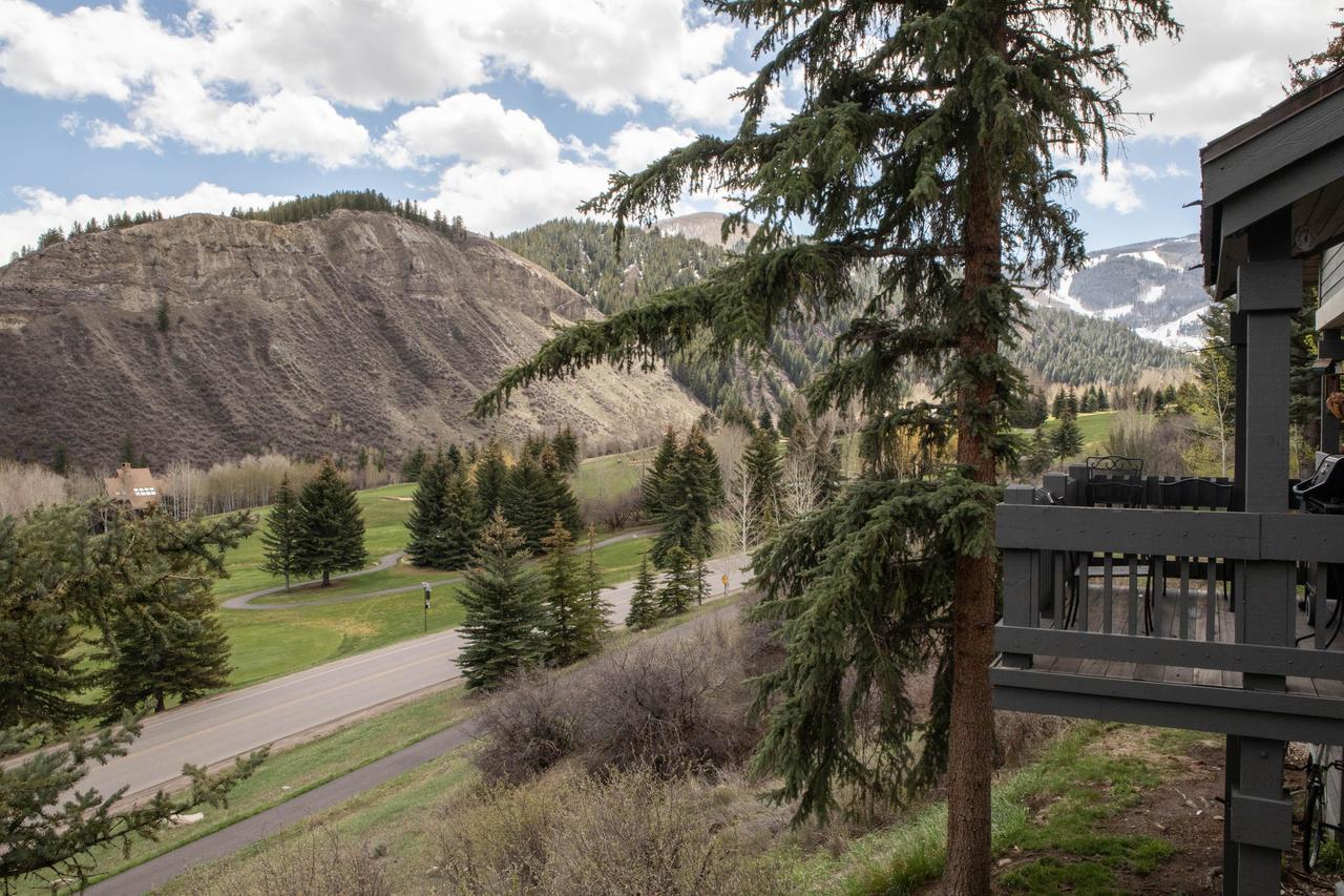 124 Ridgepoint Townhomes Townhouse - thumb 24