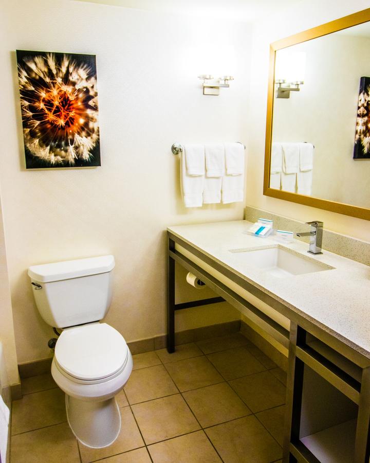 Hilton Garden Inn Dover - thumb 8