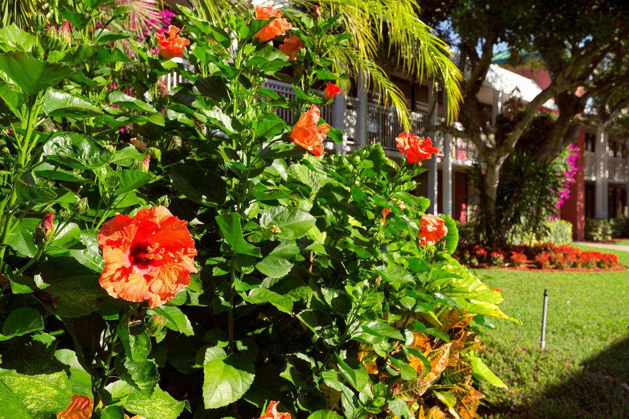 Ramada By Wyndham Naples - thumb 38