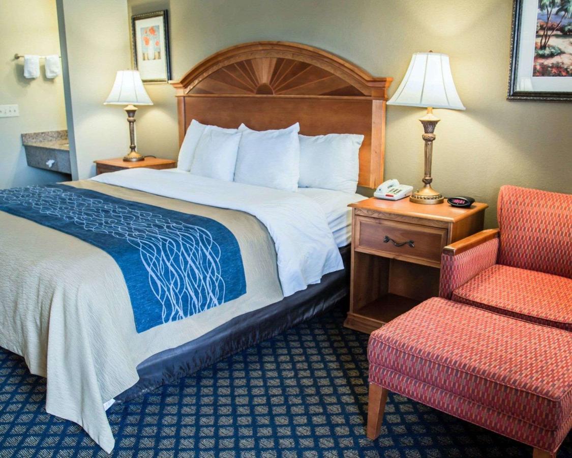 Quality Inn Near Ellenton Outlet Mall - thumb 7