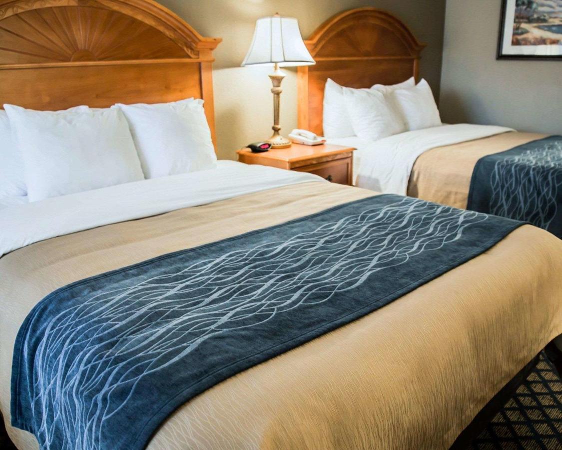Quality Inn Near Ellenton Outlet Mall - thumb 17