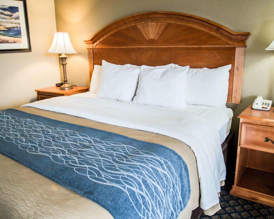 Quality Inn Near Ellenton Outlet Mall - thumb 19