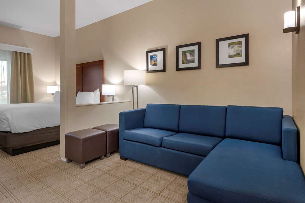Comfort Inn & Suites N Mankato - thumb 14