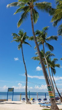 Esto Fl Accommodation Massachusetts