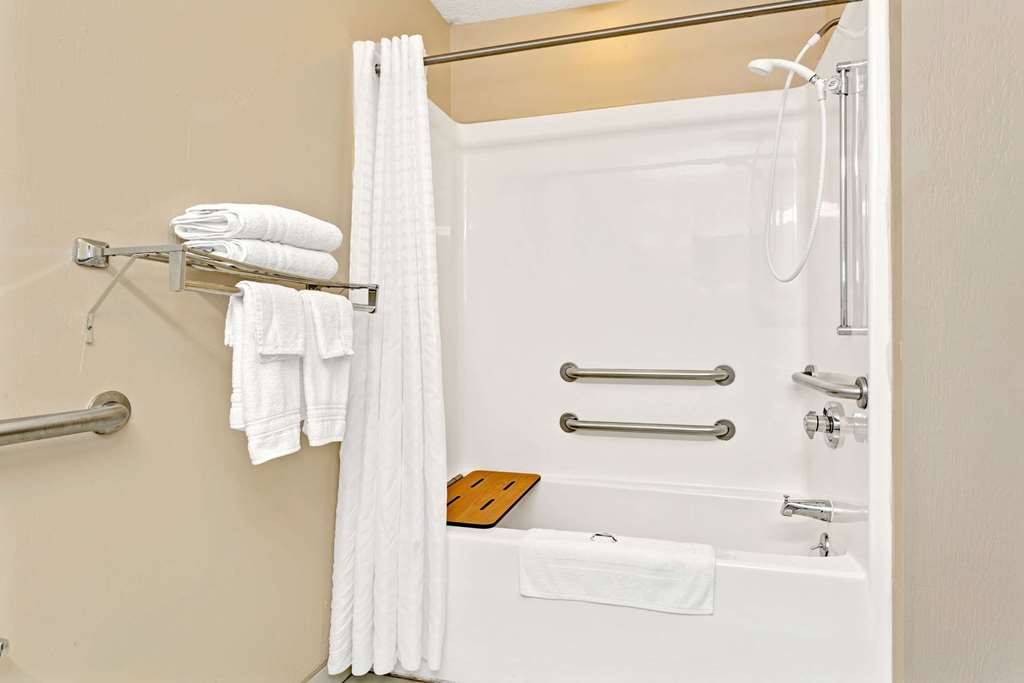 Microtel Inn/Suites Cincinnati Arpt - thumb 5