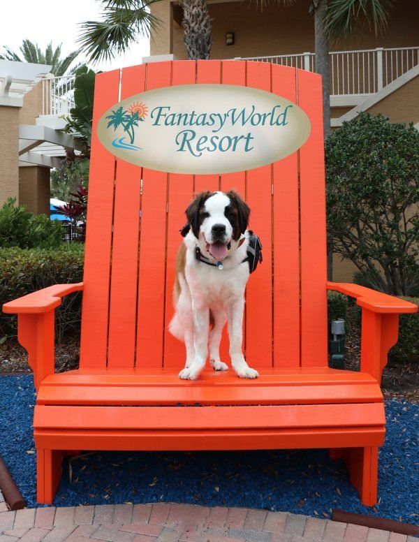 Villas At Fantasy World - thumb 5