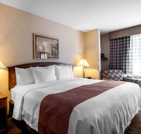 Quality Inn Hotel - Accommodation Massachusetts