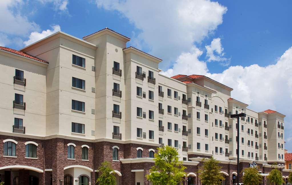 Sonesta ES Suites University Southgate - thumb 0
