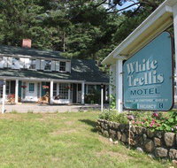 White Trellis Motel - Accommodation Massachusetts