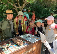 Alcatraz with Muir Woods and Sausalito Tour - Accommodation Massachusetts